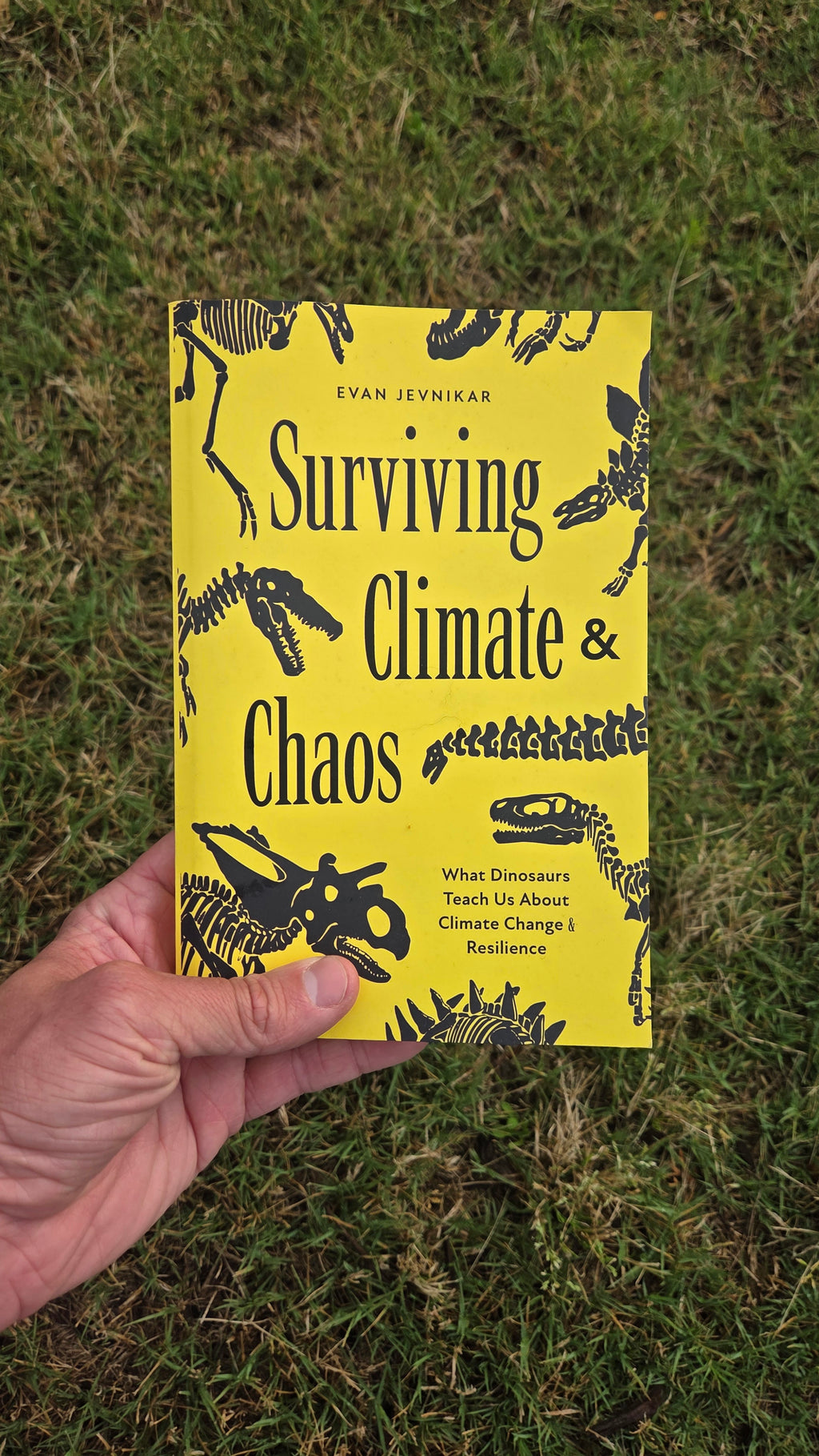 Surviving Climate and Chaos